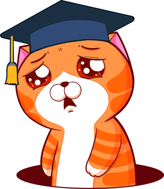 Trang báo lỗi của vuihoc.vn